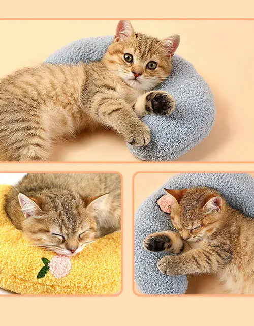 Load image into Gallery viewer, Fashion Neck Protector For Cats
