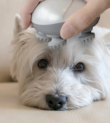Electric Massager for Pets
