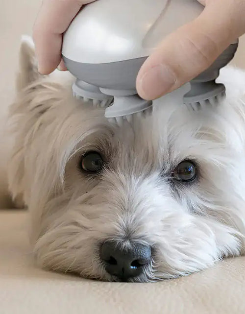 Load image into Gallery viewer, Electric Massager for Pets
