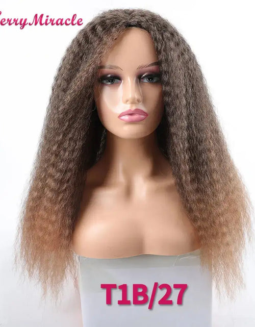 Load image into Gallery viewer, Afro Kinky Curly Hair Wigs
