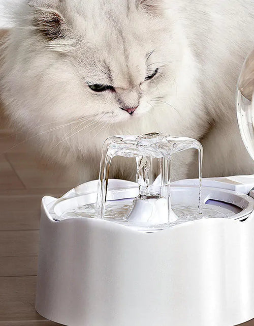 Load image into Gallery viewer, Cats and Dogs Bowl
