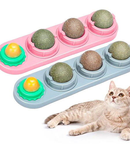 Catnip Wall Ball Toys For Cats