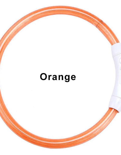 Load image into Gallery viewer, LED Collar Night Safety For Pets
