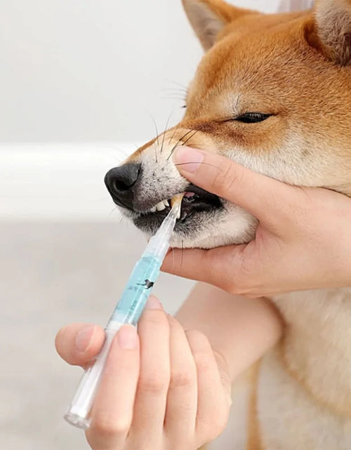 Load image into Gallery viewer, Pets Teeth Cleaning Tool
