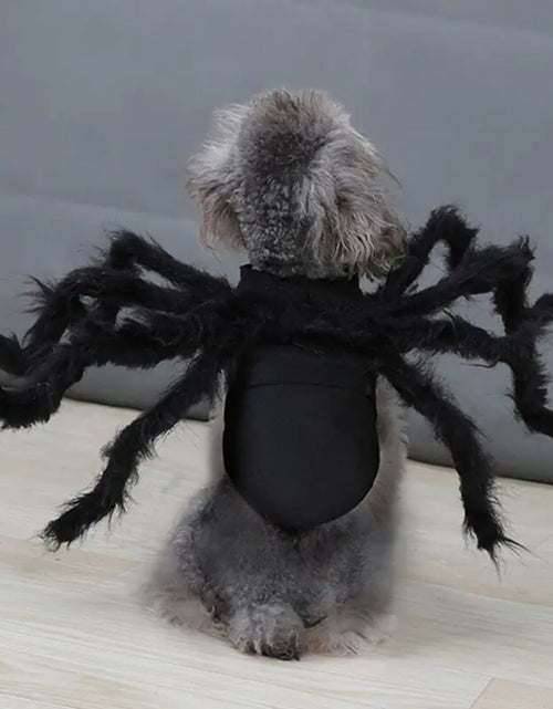 Load image into Gallery viewer, Halloween Spider Costume for Pets
