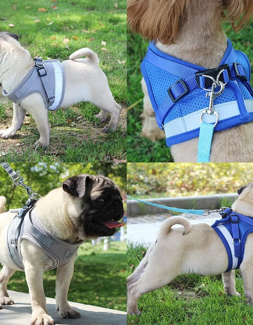 Load image into Gallery viewer, Secure Reflective Harness Set For Small Pets
