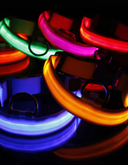 Load image into Gallery viewer, LED Adjustable Dog Collar Blinking Flashing Light Up Glow Pets Safety Waterproof
