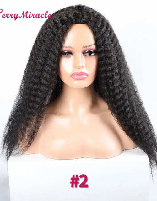 Load image into Gallery viewer, Afro Kinky Curly Hair Wigs
