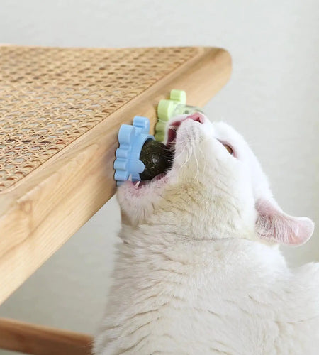 Catnip Pure Natural Cats Snack Ball