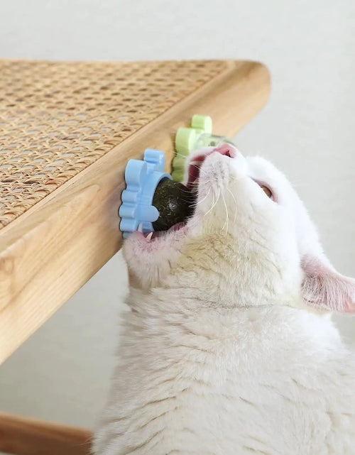Load image into Gallery viewer, Catnip Pure Natural Cats Snack Ball
