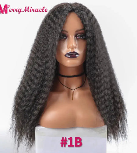 Afro Kinky Curly Hair Wigs