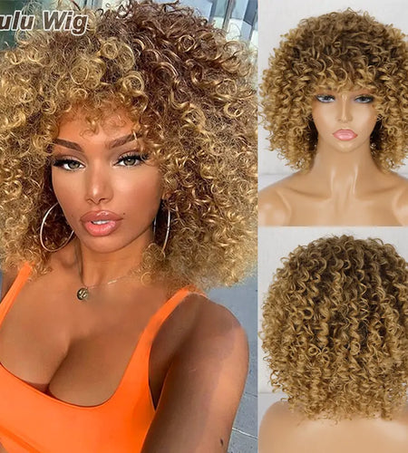Afro Kinky Curly Wig