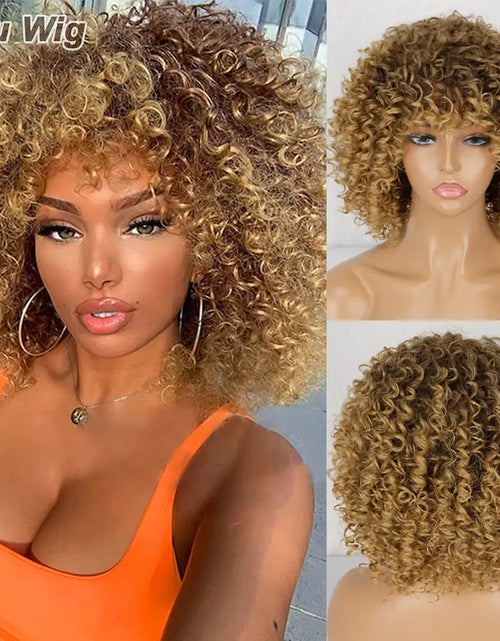 Load image into Gallery viewer, Afro Kinky Curly Wig

