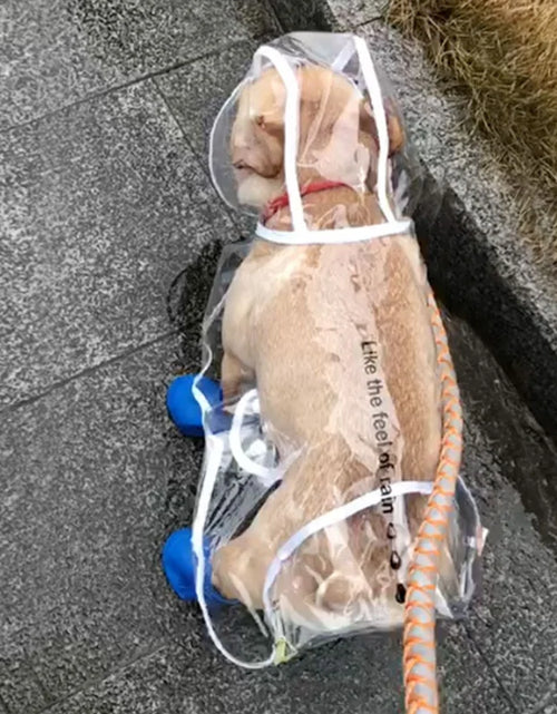 Load image into Gallery viewer, Small Dog Raincoat
