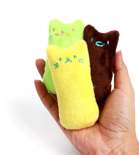 Catnip Toy for Cats