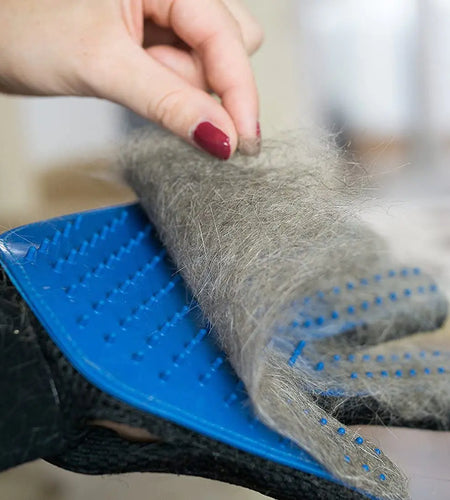 Anti-Hair Grooming Glove for Pets