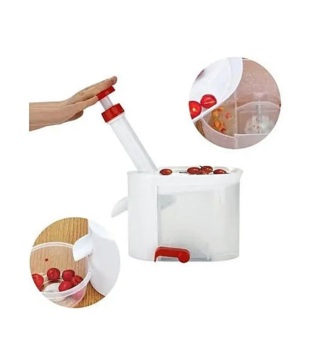 Core Seed Remover Fruit Stone Extractor