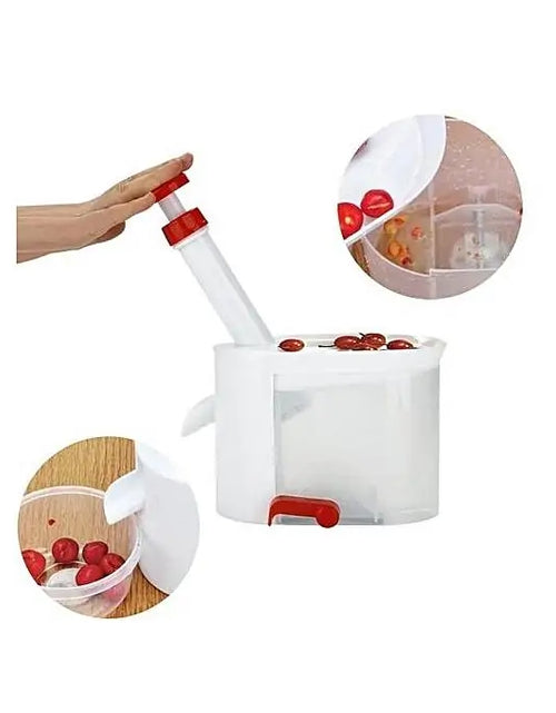 Load image into Gallery viewer, Core Seed Remover Fruit Stone Extractor
