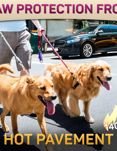 Load image into Gallery viewer, Natural Dog Paw Balm Dog Paw Protection for Hot Pavement Dog Paw Wax 2 oz
