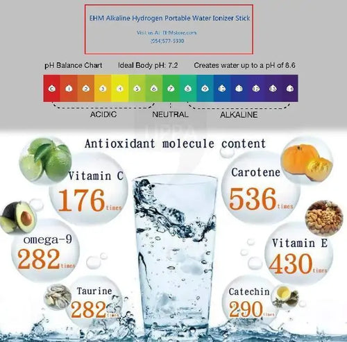 Load image into Gallery viewer, Alkaline Energy Water Bottle
