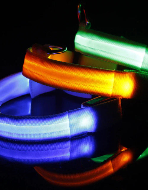 Load image into Gallery viewer, LED Adjustable Dog Collar Blinking Flashing Light Up Glow Pets Safety Waterproof
