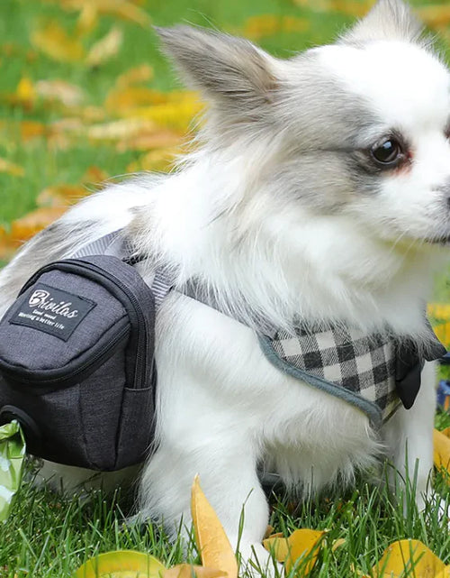 Load image into Gallery viewer, Pet Voyage Fashion Carrier
