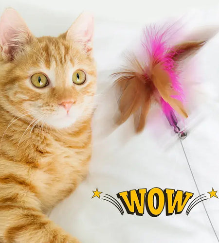 Pets Collar Kitten Playing Teaser Wand