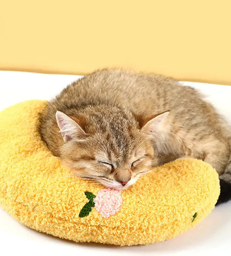 Fashion Neck Protector For Cats