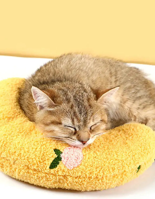 Load image into Gallery viewer, Fashion Neck Protector For Cats
