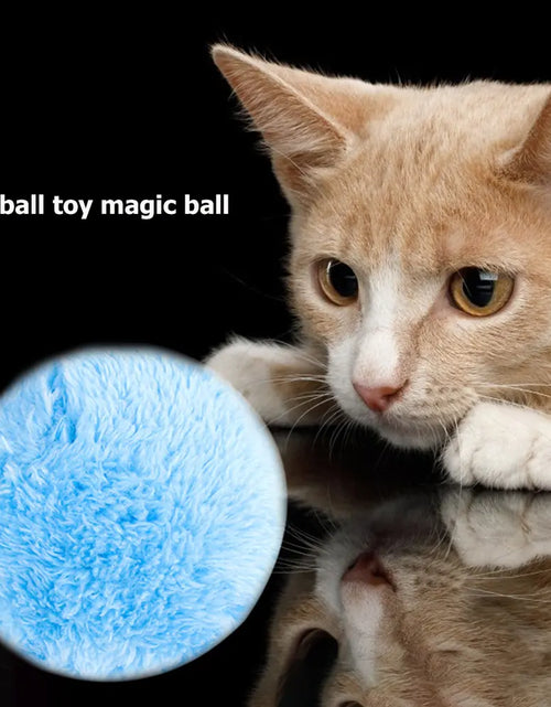 Load image into Gallery viewer, Automatic Magic Roller Ball - Interactive Plush Electric Toy for Dogs and Cats
