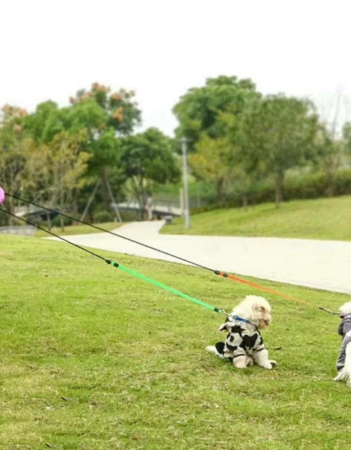 Load image into Gallery viewer, Dog Collars - 2 In 1 Dog Leash
