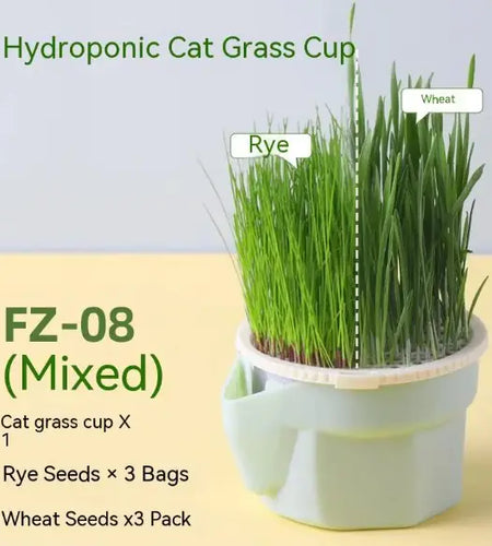 Cat Grass Cup