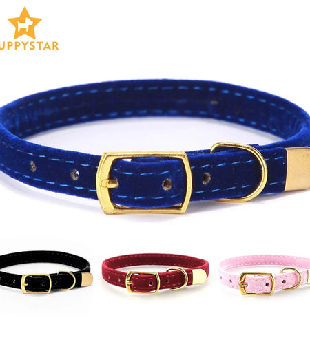 Collar For Small Cats & Dogs