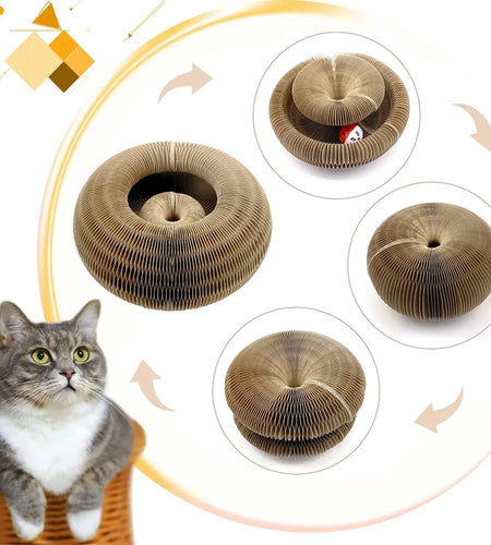 Magic Organ Cats Scratcher Toy