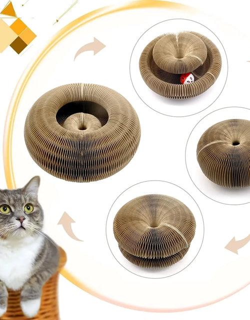 Load image into Gallery viewer, Magic Organ Cats Scratcher Toy
