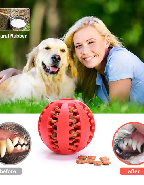 Load image into Gallery viewer, Interactive Pets Rubber Balls
