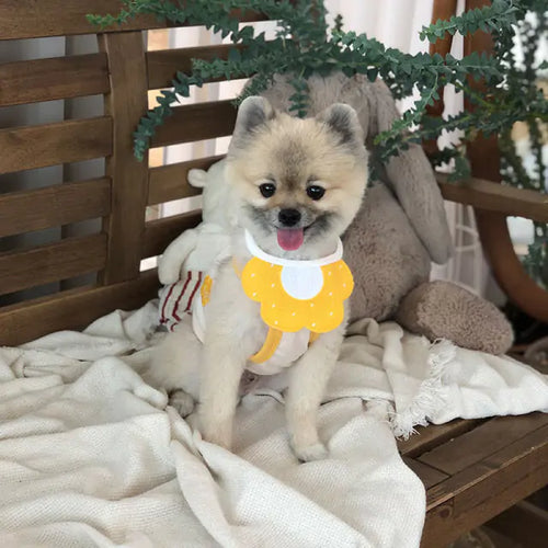 Load image into Gallery viewer, Pets Cute Knit Bibs
