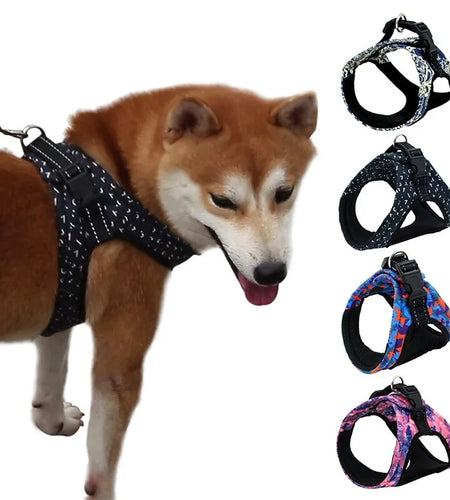 Comfortable And Secure Harness For Pets