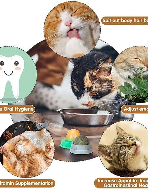 Load image into Gallery viewer, Catnip Wall Ball Toys For Cats

