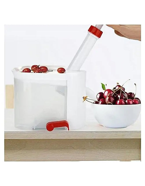Load image into Gallery viewer, Core Seed Remover Fruit Stone Extractor
