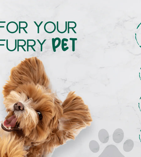 BeNat Pets. All-Natural Furry Pet Soap Bar. 5.8 oz.