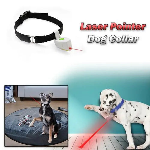 Load image into Gallery viewer, Laser Pointer Pet Pet Collar
