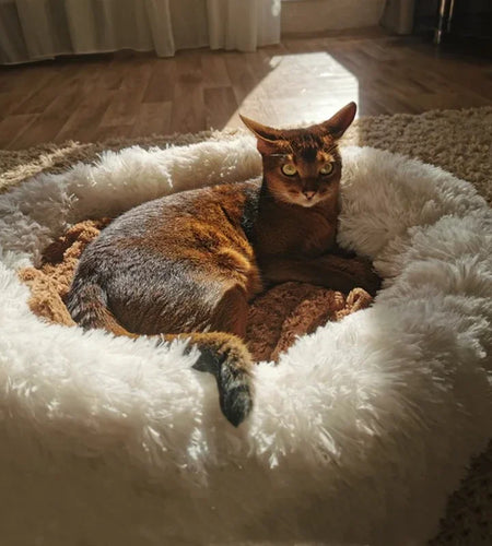 Super Soft Plush Dog Bed: Round Cushion for Large Dogs and Cats