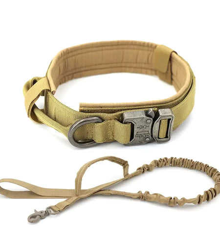 Dog Collar