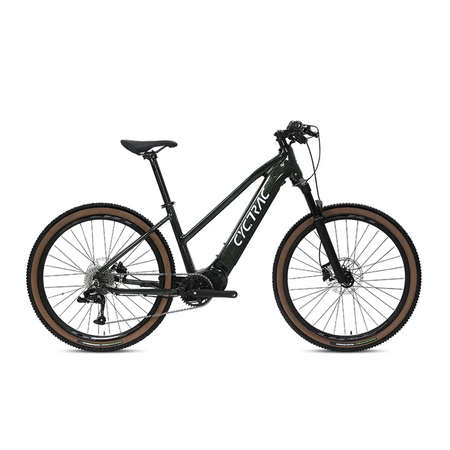 EC1 - ELECTRIC ALLOY BIKE-0
