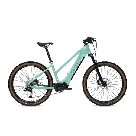 EC1 - ELECTRIC ALLOY BIKE-1