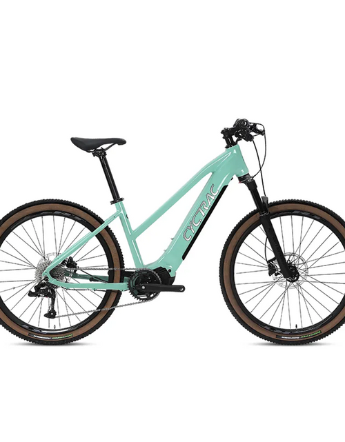 Load image into Gallery viewer, EC1 - ELECTRIC ALLOY BIKE-1
