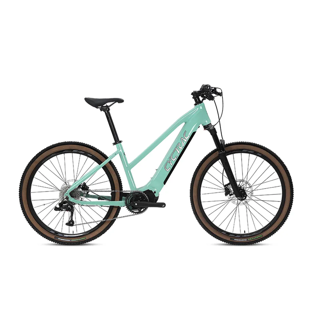 EC1 - ELECTRIC ALLOY BIKE-1