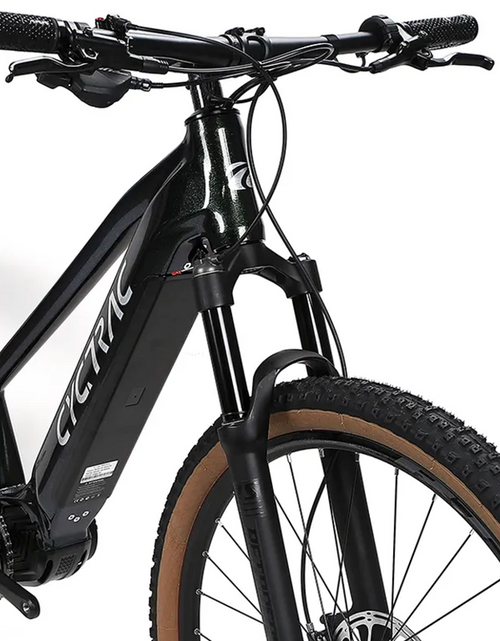 Load image into Gallery viewer, EC1 - ELECTRIC ALLOY BIKE-2

