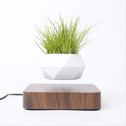 Load image into Gallery viewer, Levitating Air Bonsai Pot
